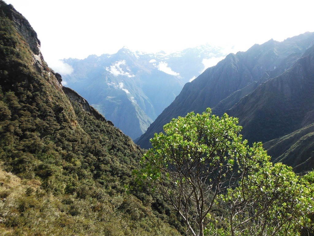Mountain scenery Inca Trail