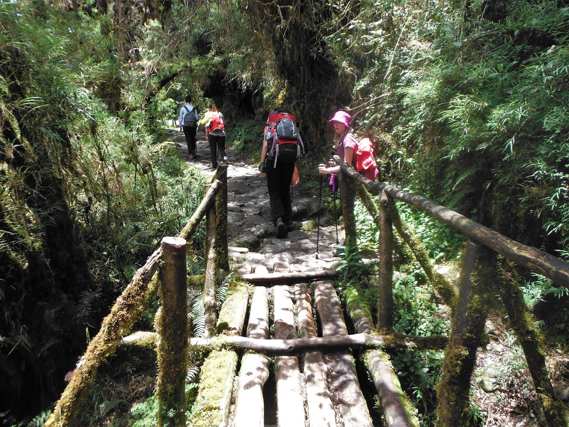 Rainforest section, Inca trail
