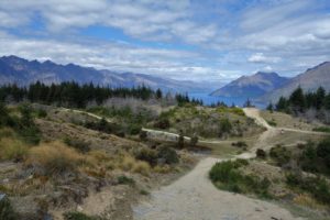 New Zealand Hiking trail