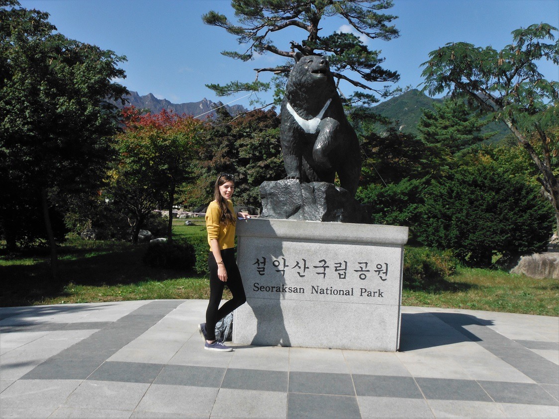 Park entrance to mountains korea