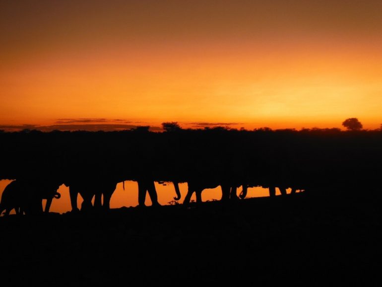 Sunset Etosha National Park