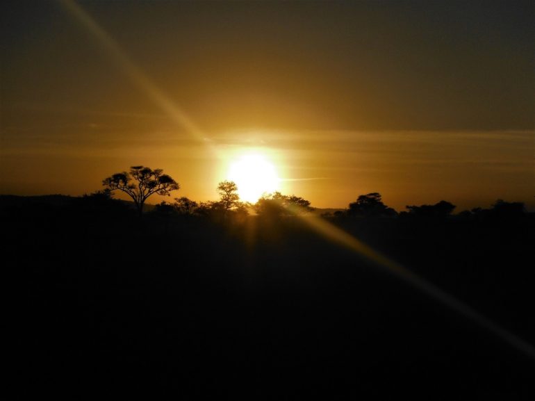 Sunset Serengeti, Tanzania
