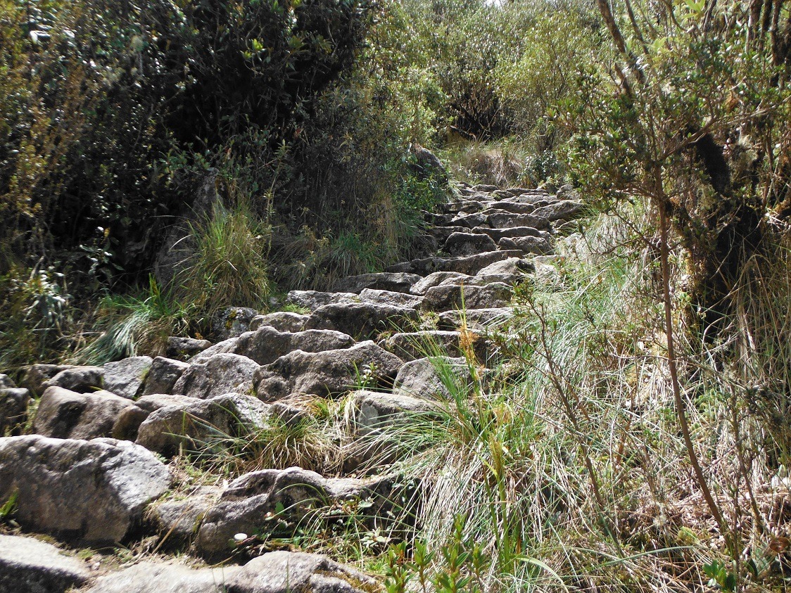 steep steps , inca trail