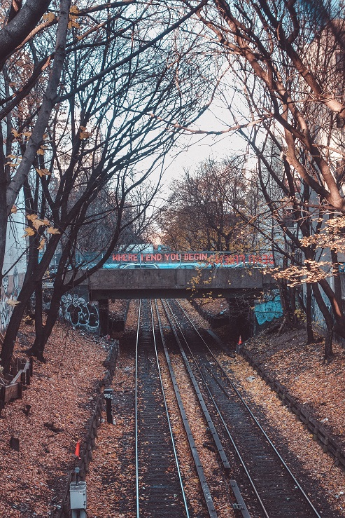 railway bridge with fall leaves