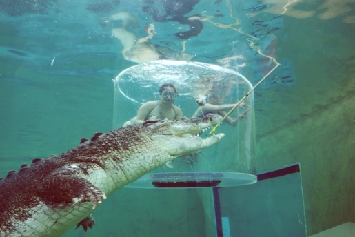 girls in the crocodile cage in Darwin