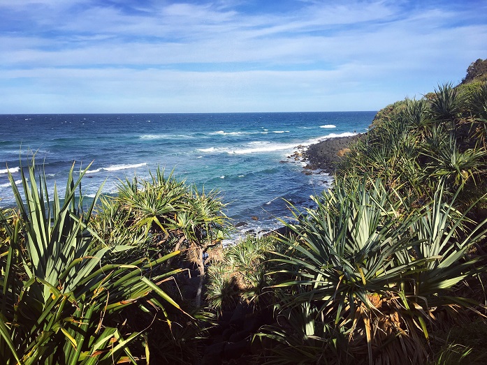 waves through vegetation, Australia