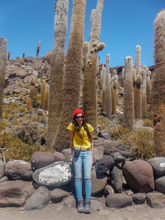 big cacti, Salar de Uyuni , Bolivia