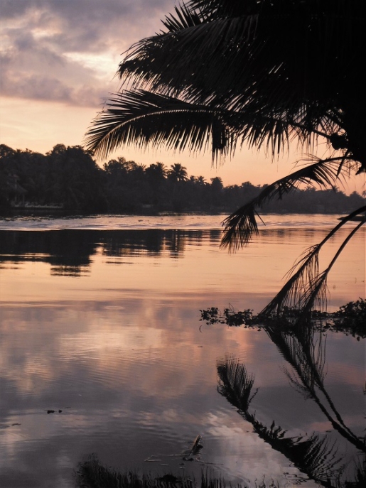 sunrise, Alleppey backwaters, Kerala India