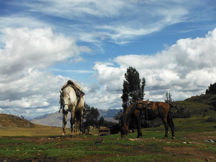horse-riding tour Cusco, Peru 