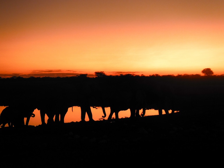 sunset, Etosha National Park, Namibia
