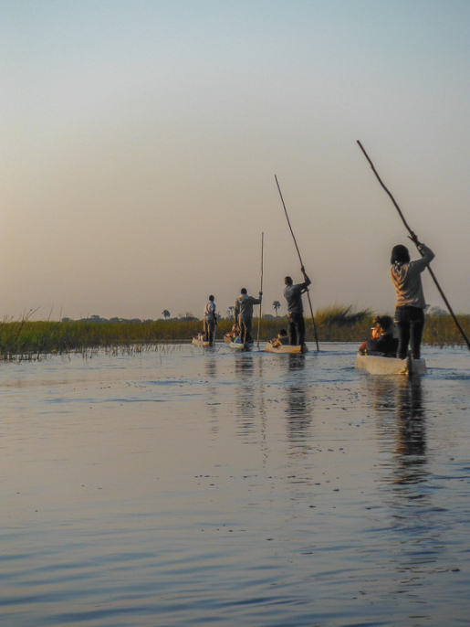 Okavango delta boat trip