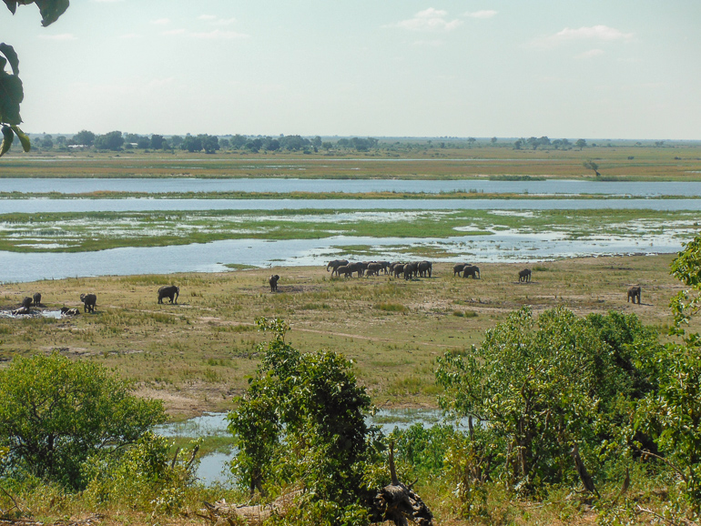 Safari, Botswana