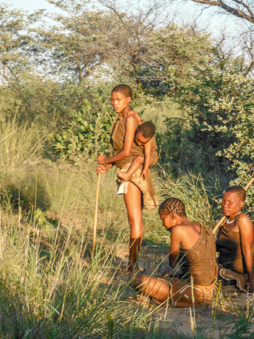 San Bushmen, Botswana