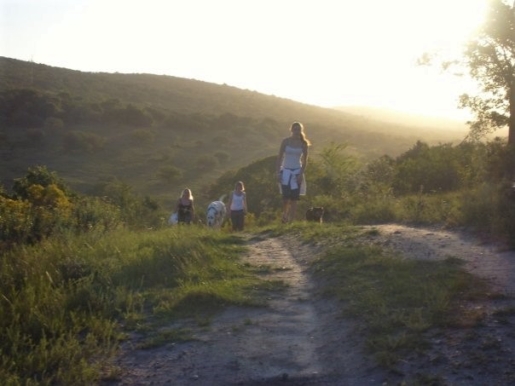 walking over hill, game park south africa