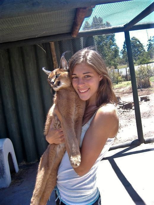 holding a baby lynx cat, south africa
