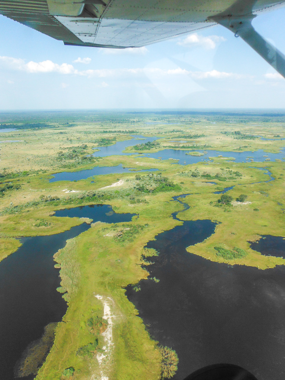 helicopter, okavango delta
