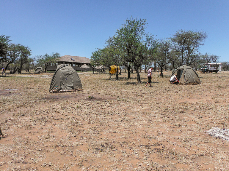 camping Serengeti safari Tanzania