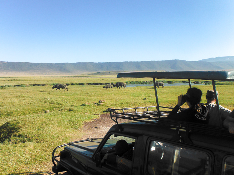 ngorongoro crater safari Tanzania