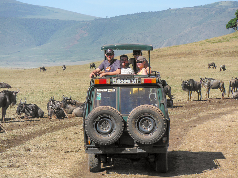 Tanzanian safari tips
