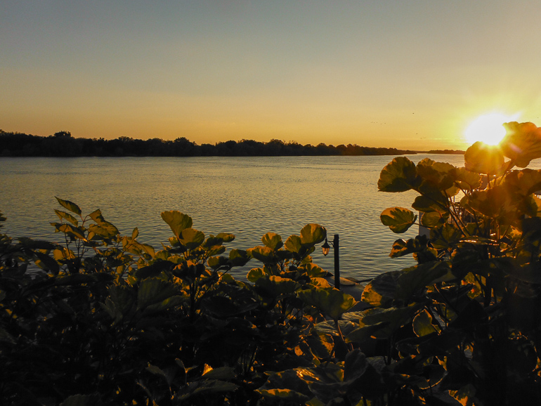 Zambezi river sunset