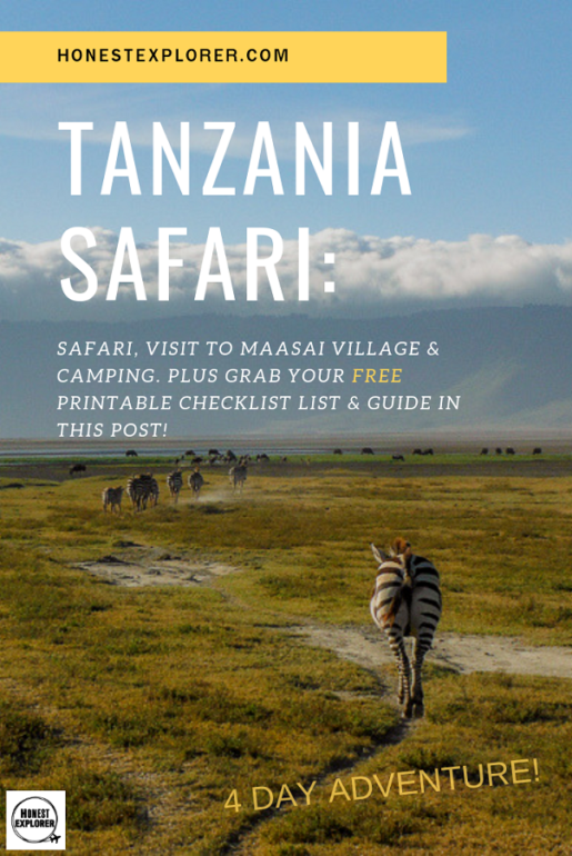 africa safari guide