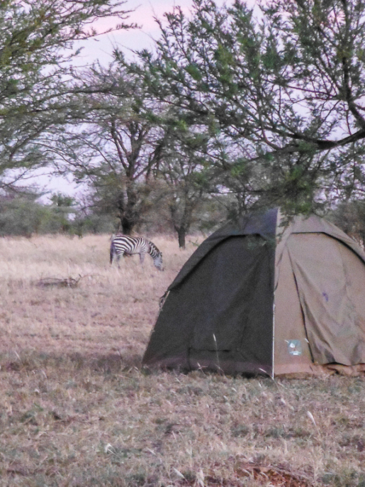 camping, Serengeti National Park Tanzania