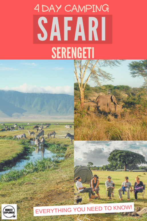 safari guide and checklist