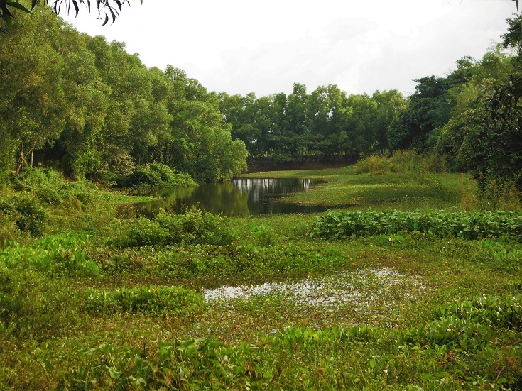 Cambodia's killing fields