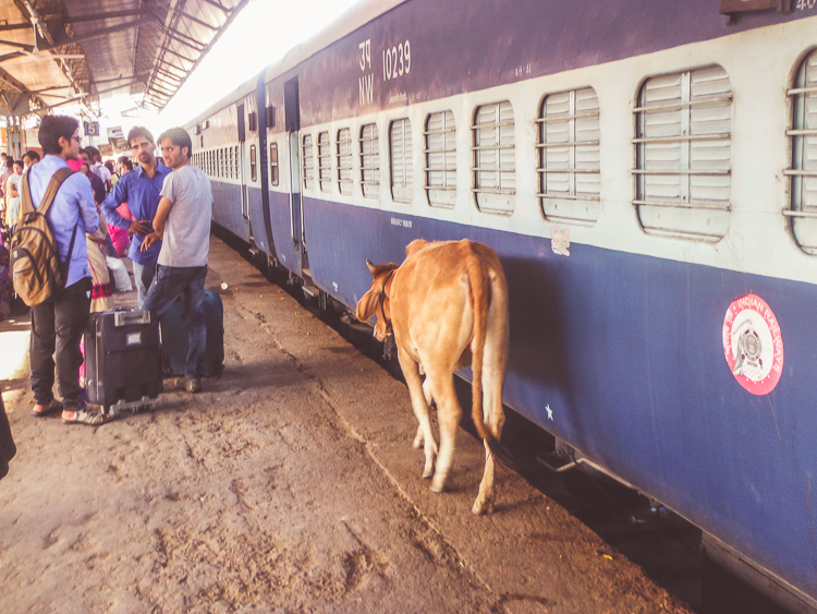 Getting a train in India