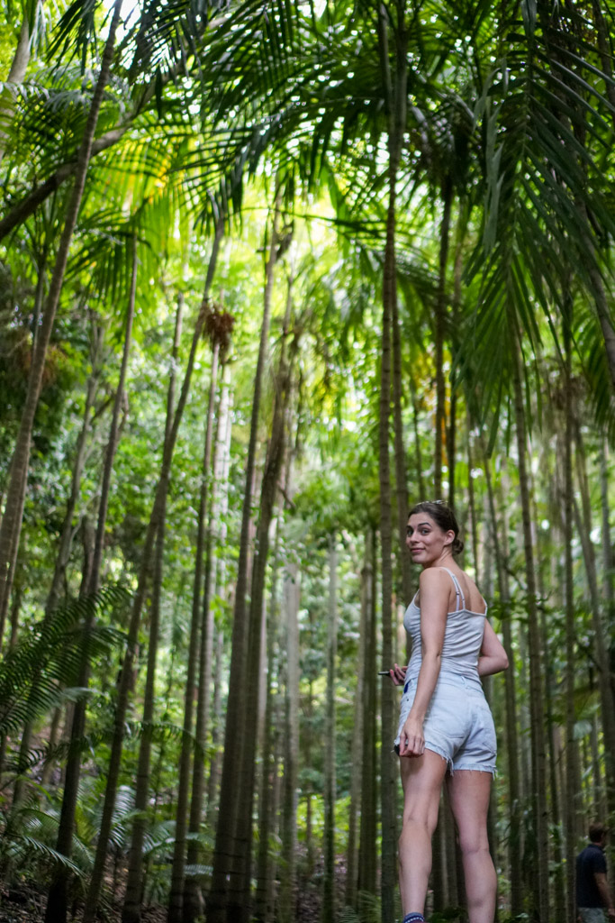 walking in the rainforest in Brisbane