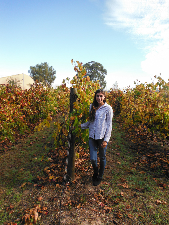 standing in a Cape Town vineyard