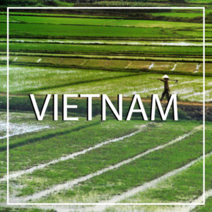 VIETNAM Travel Guide