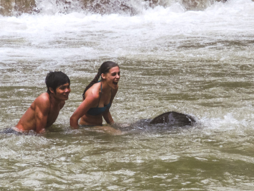 swimming with elephants