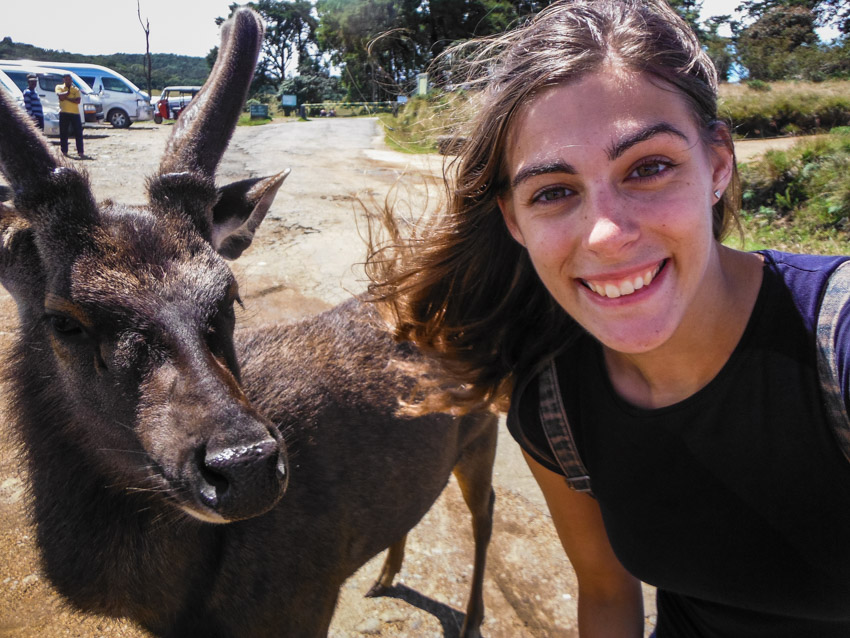 selfie with a moose in Sri Lanka