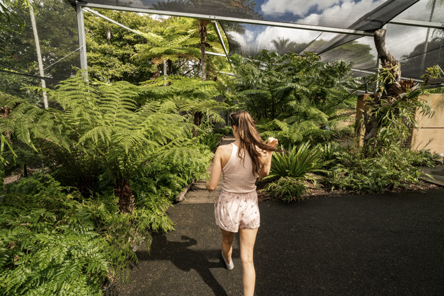 walking through Botanical gardens