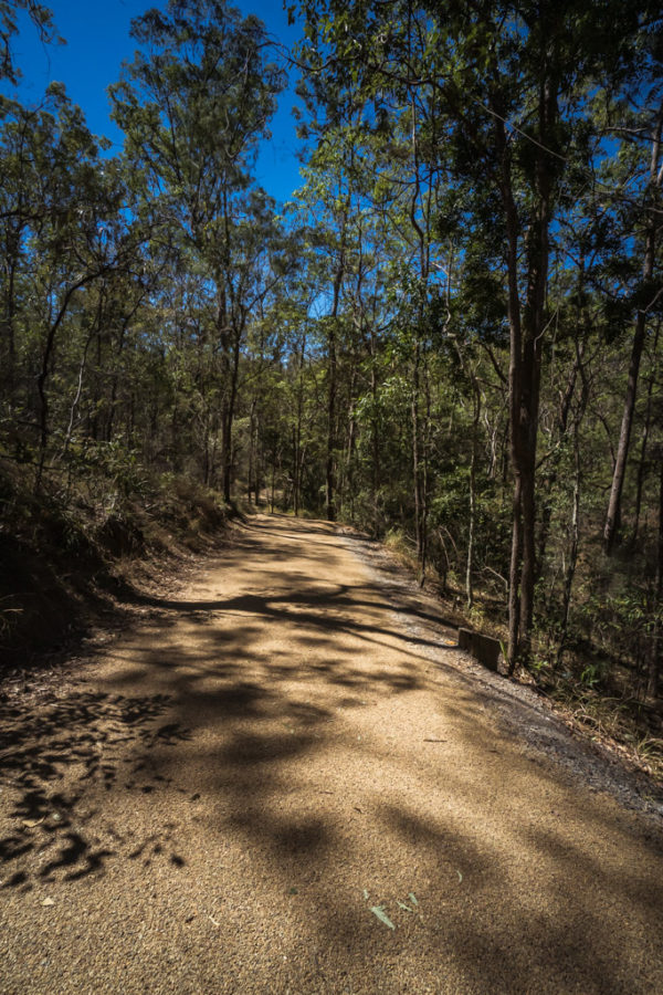 9 Best Walking Tracks in Brisbane - Honest Explorer