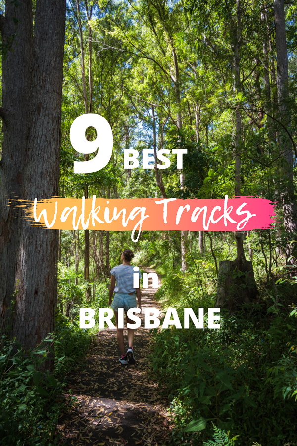 9 Best Walking Tracks in Brisbane - Honest Explorer