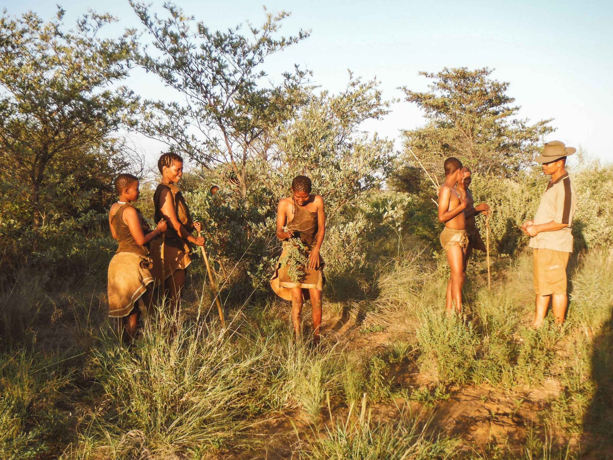 San people bushmen walk Botswana