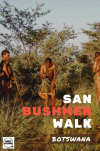 Walk with the San Bushmen People in Botswana-1