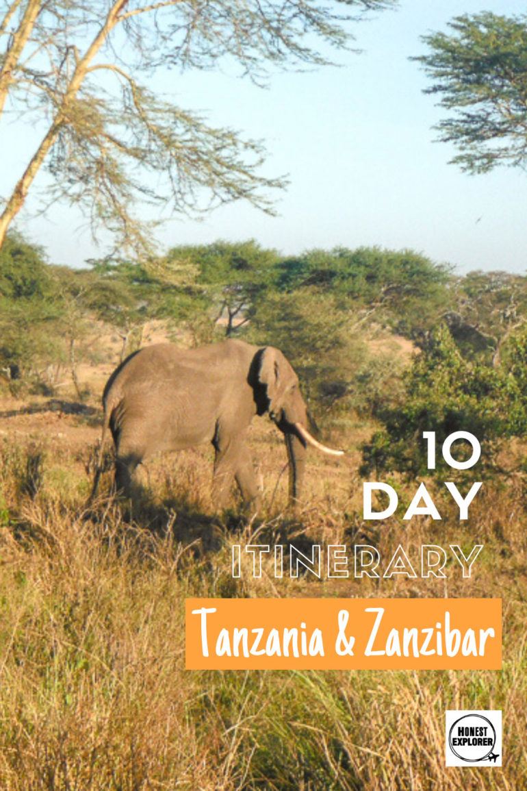 tanzania and zanzibar pin
