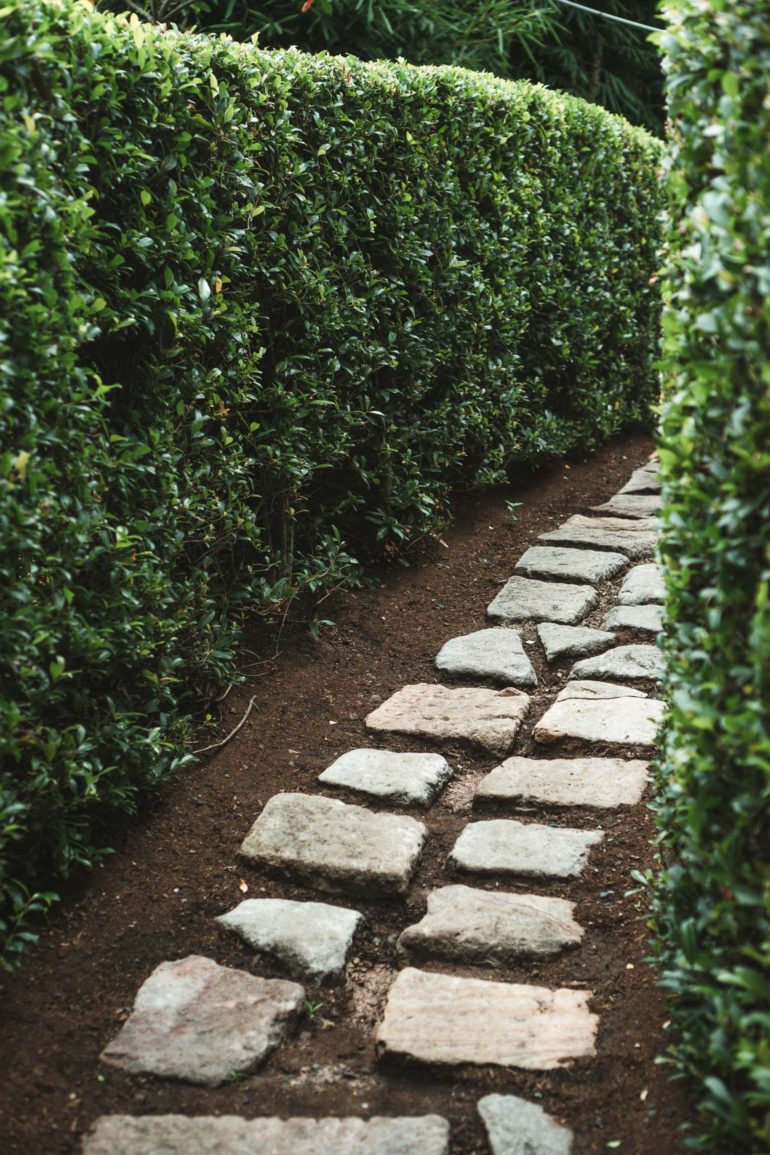 stone step path in Japenese garden
