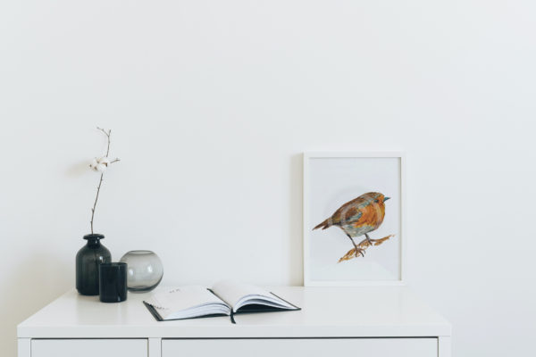 robin painting in white frame against white wall