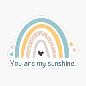 you are my sunshine sticker