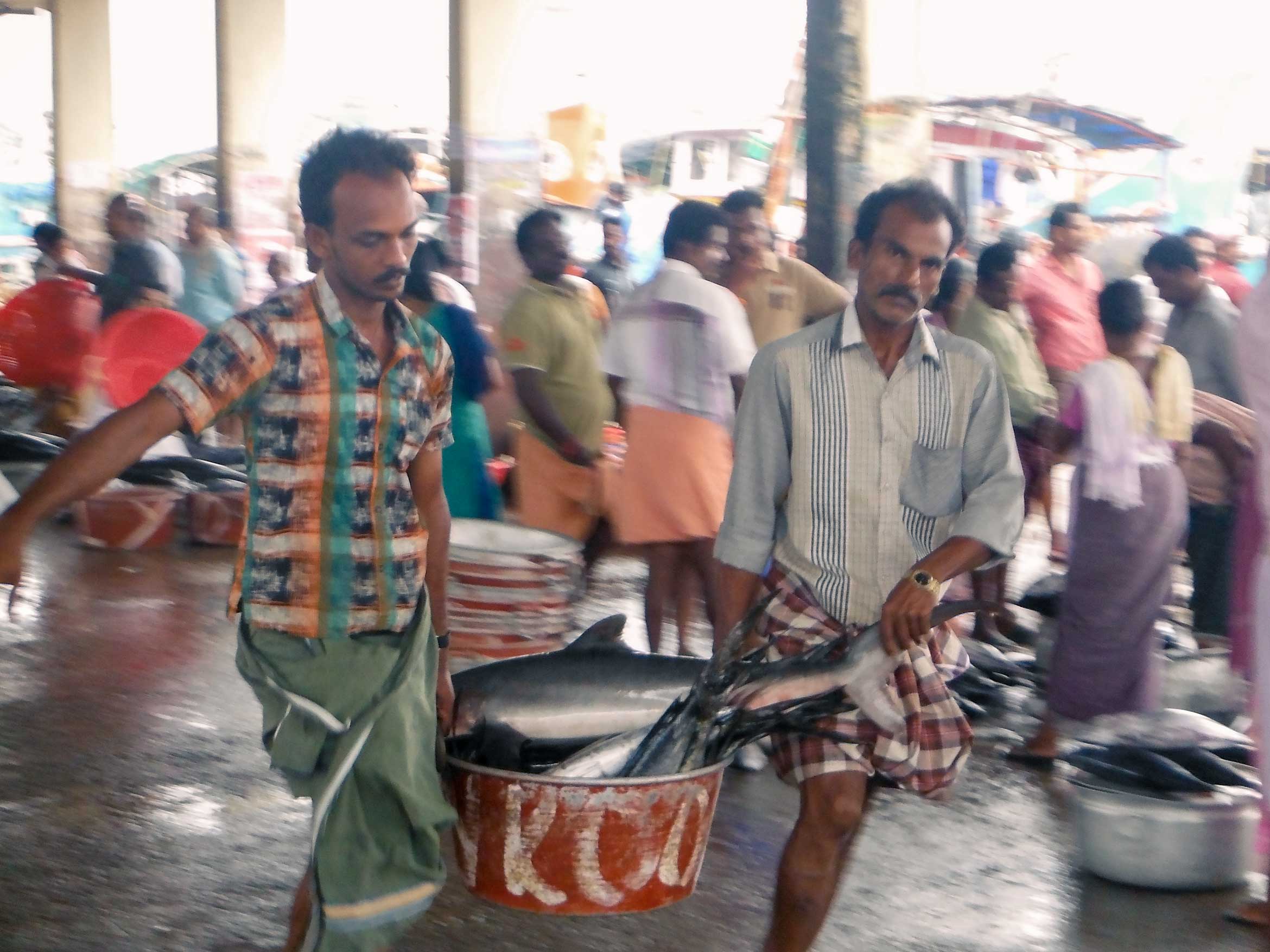 two-men-carrying-a-bucket-of-fish-in-india