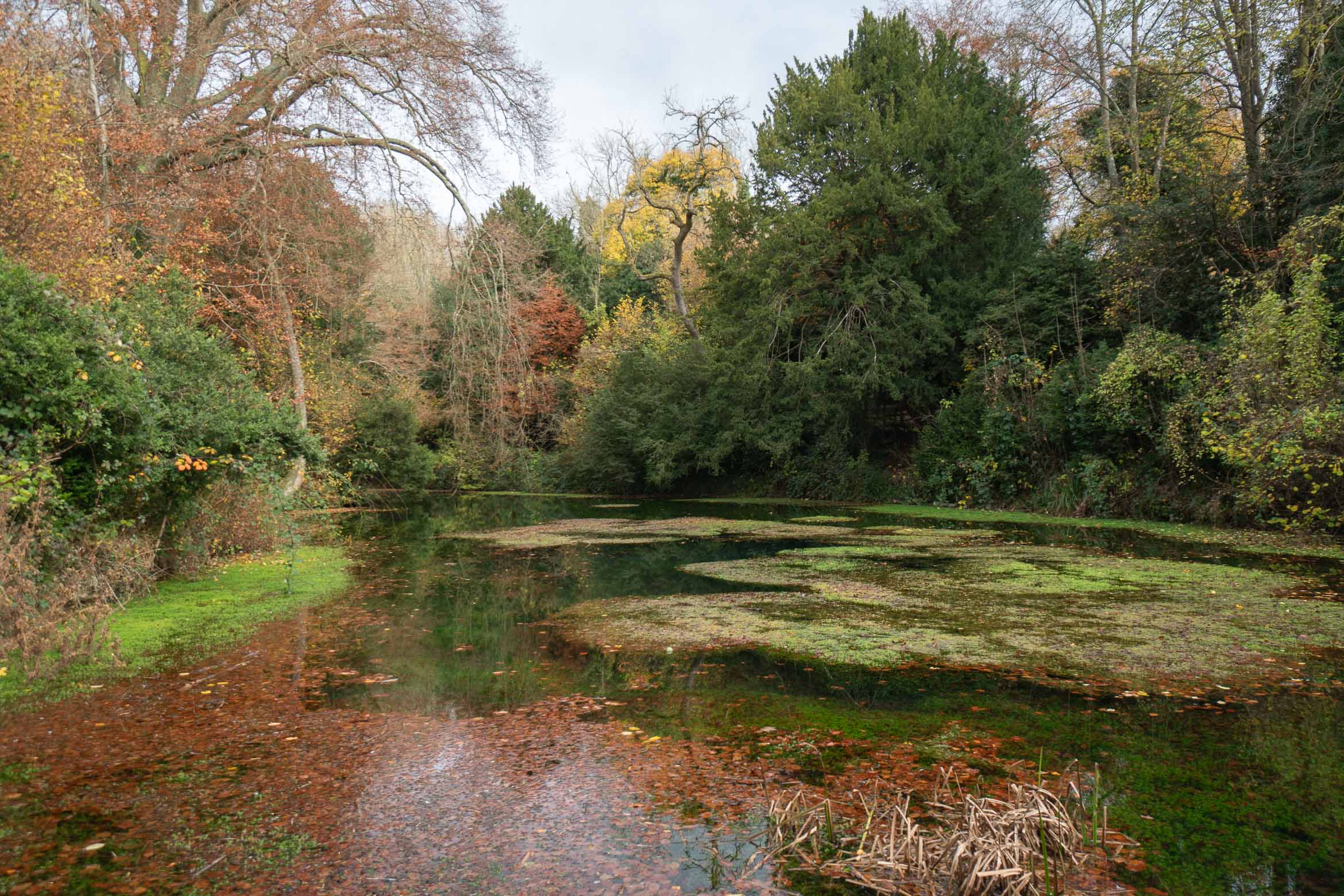 silent pool in shere