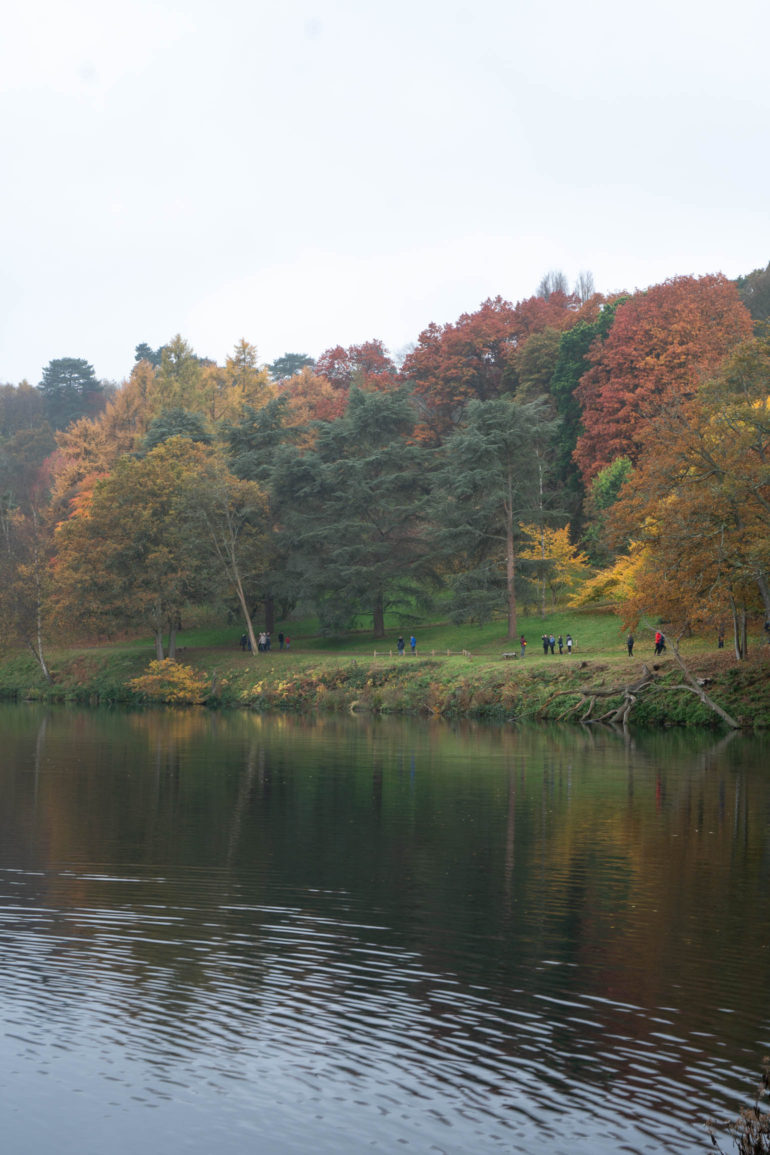 autumn trees by small lake