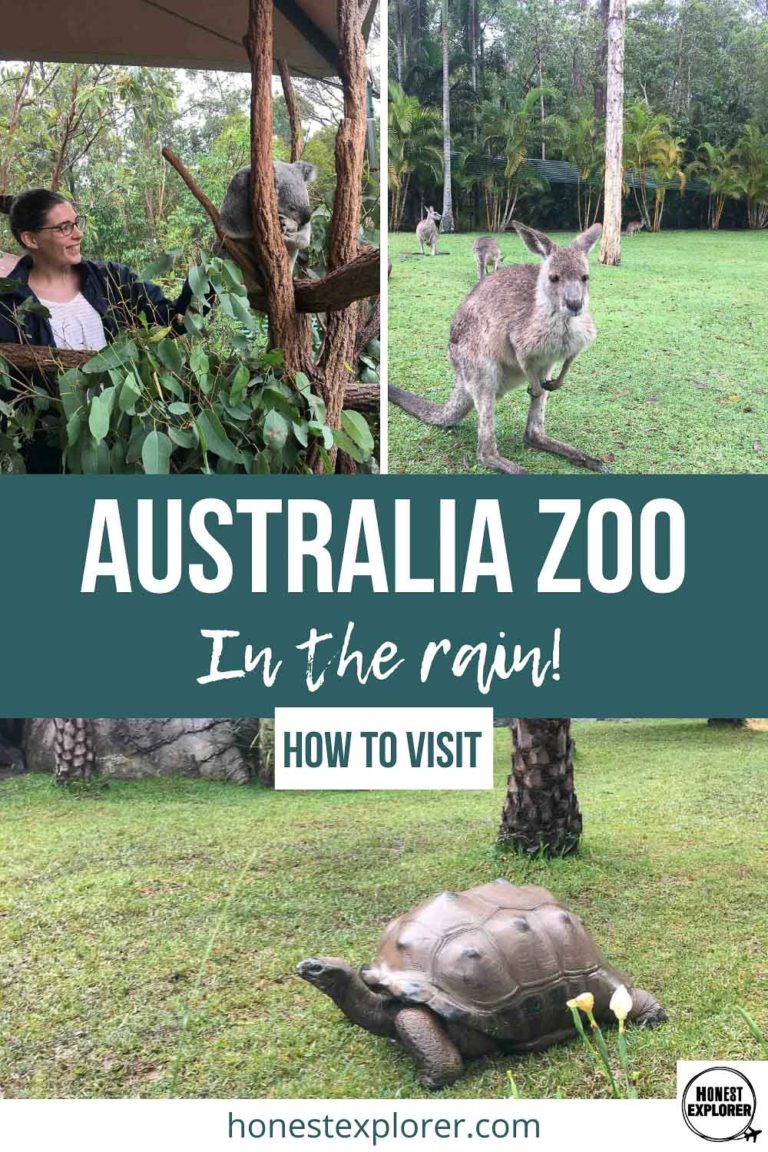 A Trip to Australia Zoo – In the Rain! - Honest Explorer