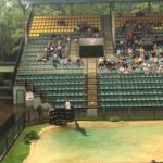 croc show australia zoo