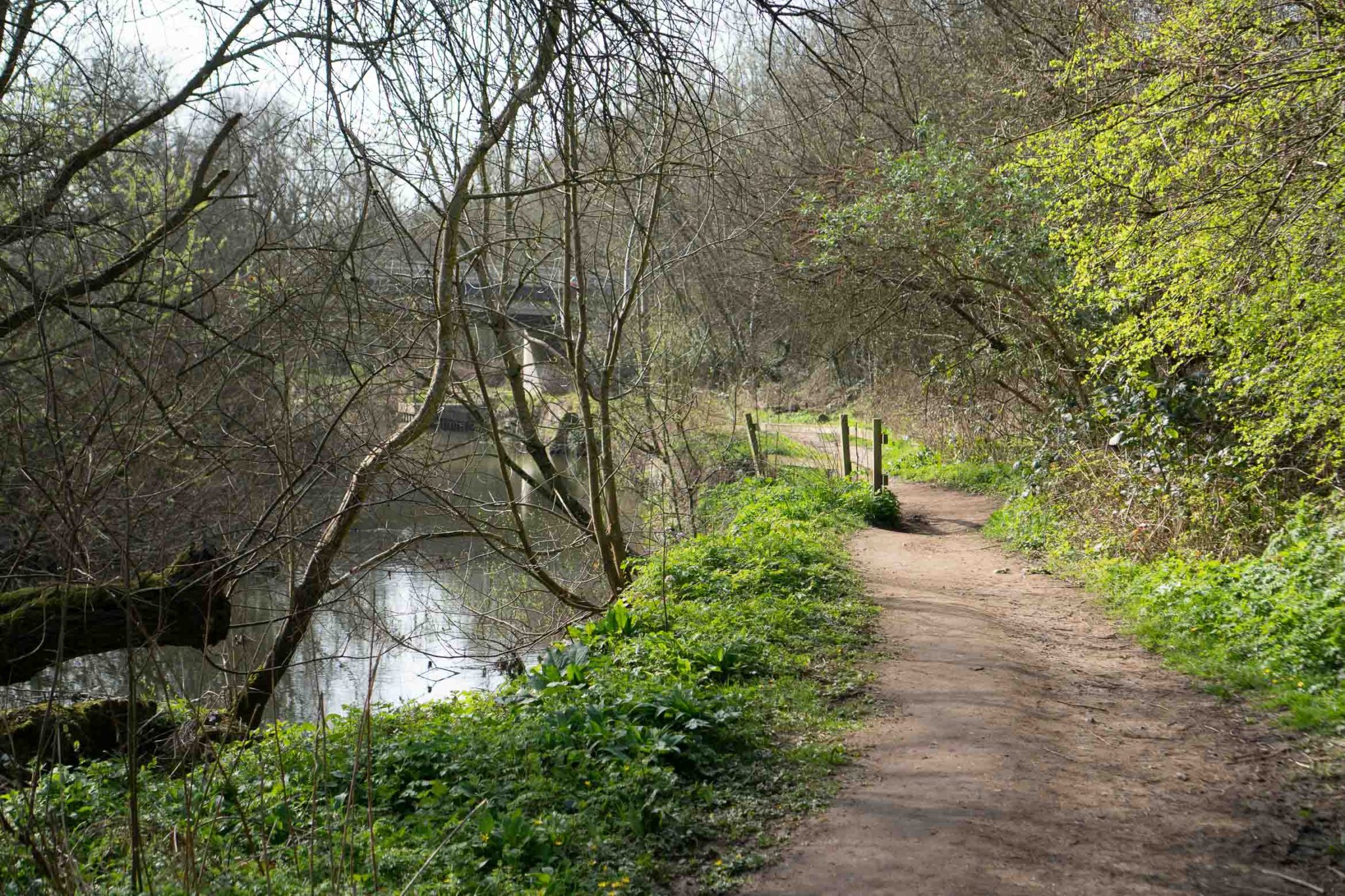 path by river on mole gap trail, surrey